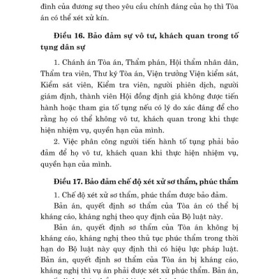 Bộ luật tố tụng dân sự ( bản in 2024)