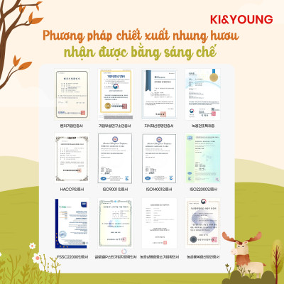 Combo Gạc hươu non/Nước nhung hươu cho bé từ 1 tuổi Ki&Young - ALADDINVINA