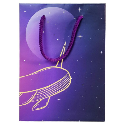 Túi Đựng Quà 16 x 22 x 8 cm - The Whale - The Sun 02