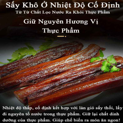 Máy sấy thực phẩm bảng điều khiển điện tử 12 tầng thương hiệu Septree ST-06 - Dung tích 45 lít - Hàng Chính Hãng