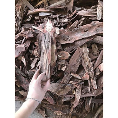 cây huyết giáp phơi khô 1kg