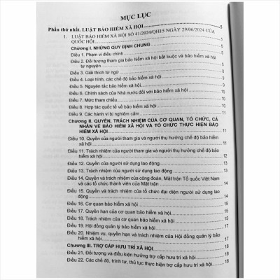 Sách Luật Bảo Hiểm Xã Hội - Luật Bảo Hiểm Y Tế - Bảo Hiểm Thất Nghiệp và Các Chính Sách Mới về Bảo Hiểm (V2430D)