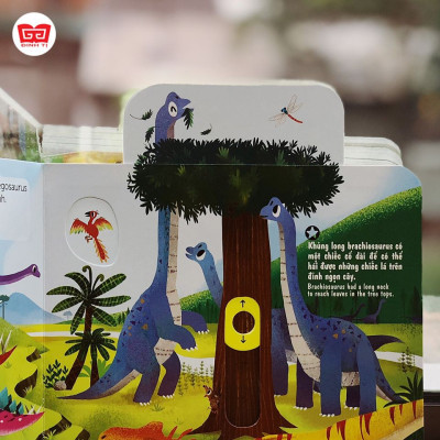 Sách Chuyển Động - First Explorers - Night Animals - Động Vật Ban Đêm