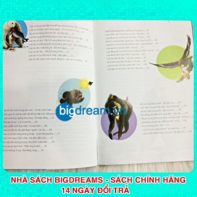 Khám Phá Thế Giới Động Vật Kì Thú - Thế giới của những loài động vật sát thủ - Kiến thức bách khoa cho trẻ