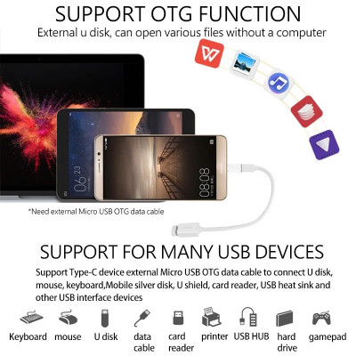 Đầu Chuyển Đổi Cổng Micro Usb Sang Type C - Hàng Nhập Khẩu