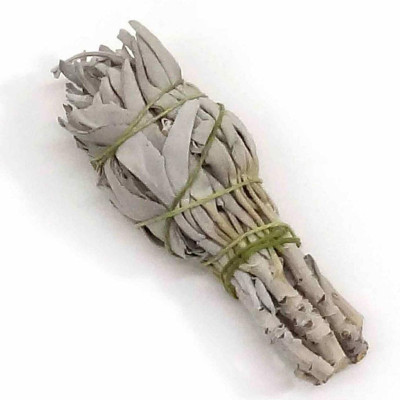 {Bó dùng thử} Xô Thơm Trắng Thanh Tẩy [ White Sage]