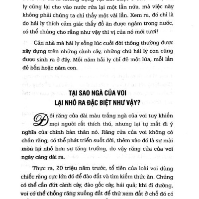 Mười Vạn Câu Hỏi Vì Sao (Tái Bản 2024)