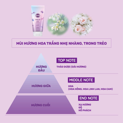 Essence Chống Nắng Và Nâng Tone Chống Tia UV Kose Suncut UV Essence SPF50+ PA++++ (80 G)