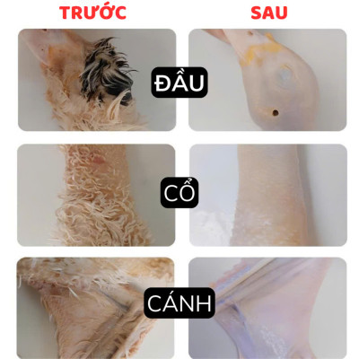 [Mới Nhất] Máy Nhổ Lông Gà Vịt Cầm Tay – Tích Điện, Động Cơ Mạnh Mẽ