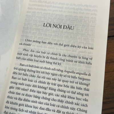 (Đoạt Giải National Outdoor Book Awards 2020) PHÚC ÂM CỦA LOÀI CÁ CHÌNH –  Patrik Svensson – Nguyên Chính dịch – Huy Hoang Books 