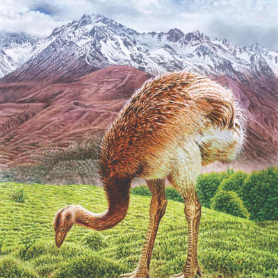 Atlas Các Động Vật Nổi Danh Đã Tuyệt Chủng