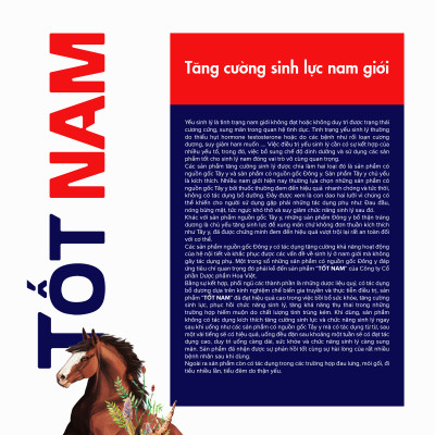 Viên uống bổ thận tráng dương tăng cường sinh lực nam giới Tốt Nam Hoa Việt  (Hộp 30 viên)- Bí quyết cho sức khỏe phái mạnh