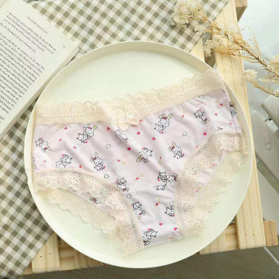 COMBO 5 QUẦN LÓT NỮ THUN LẠNH VIỀN REN HỌA TIẾT XINH XẮN 1735