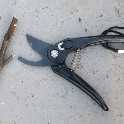 Kéo Cắt Tỉa Cây Cảnh 