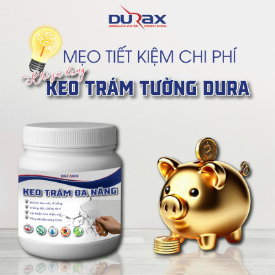Keo Vá Tường DURA- Trám Trét Vết Nứt Khe Hở Tường - Chống Mốc Ẩm Làm Sạch Tường