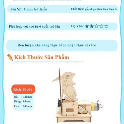 Bộ Đồ Chơi Lắp Ghép STEM Mô Hình Chim Gõ Kiến, Bộ Đồ Chơi Khoa Học Tự Làm Chim Gõ Kiến, Bộ Đồ Chơi Gỗ Cao Cấp Khoa Học Tự Làm DIY Wood Steam - Chính Hãng BABYBOSS.