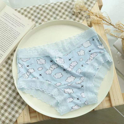 COMBO 5 QUẦN LÓT NỮ THUN LẠNH VIỀN REN HỌA TIẾT XINH XẮN 1735