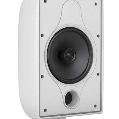 Loa Treo Tường TANNOY DVS 6T-WH --6 " công suất 60 -240 Watts-Hàng Chính Hãng 