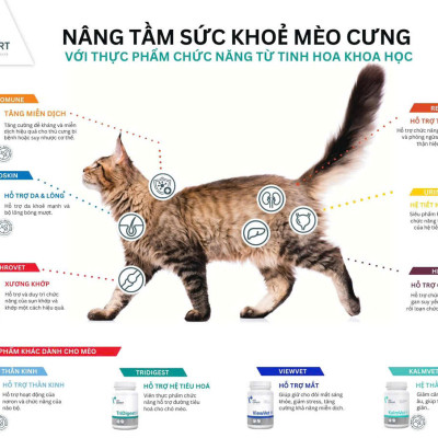 [Hộp 45 viên] Sản phẩm hỗ trợ điều trị sỏi thận Struvite cho mèo UrinoVet Cat Dilution