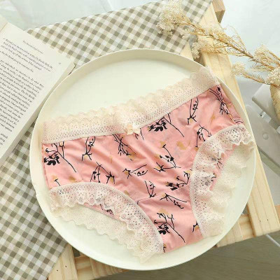 COMBO 5 QUẦN LÓT NỮ THUN LẠNH VIỀN REN HỌA TIẾT XINH XẮN 1735