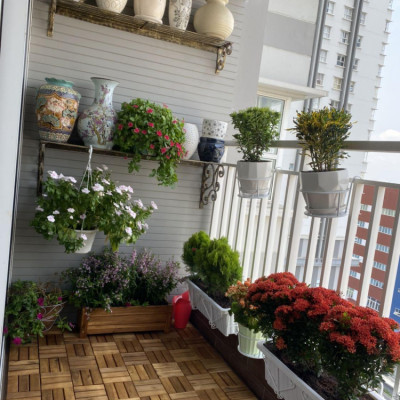 Combo 9 Ván Sàn Gỗ Tự Nhiên Màu Nâu Vàng, Vỉ Gỗ Lót Sàn Ban Công, Sân Vườn, Hồ Bơi, Phòng Spa, Siêu Bền, Chịu Nước Tốt, Chống Trơn Trượt, Tiêu Chuẩn Xuất Khẩu