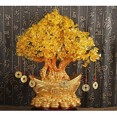 Cây kim tiền tài lộc