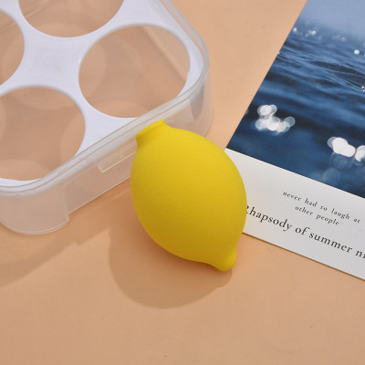 Hộp bông tán phấn trang điểm 4 món hình trái cây  xinh xắn nhiều màu , có hộp đựng siêu đáng yêu cute