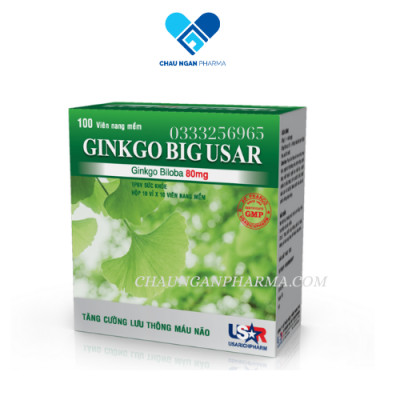 Viên uống bổ não GINKGOBIG USAR Hộp 100 viên