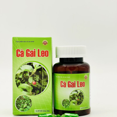 Cà gai leo - Năng Động - giải độc gan, giảm mề day, vàng da