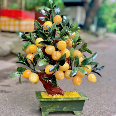 Cây đào phong thuỷ ngọc hoàng long 28 quả|phongthuygiaphat