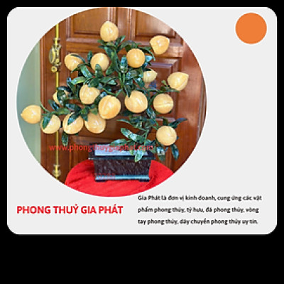 Cây đào phong thuỷ đá ngọc hoàng long 18 quả, quả to|phongthuygiaphat