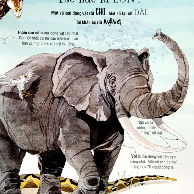 Sách Tương Tác - Big Book - Cuốn Sách Khổng Lồ Về Các Loài Động Vật Khổng Lồ – Đinh Tị