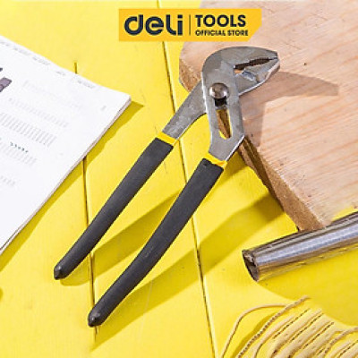 Kìm Mỏ Quạ Deli 10 Inch Cao Cấp - Giúp Giữ, Kẹp, Cắt Vật Dụng, Dành Cho Thợ Điện Nước Chuyên Nghiệp - DL2610