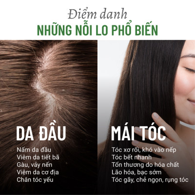 Kem Ủ Xả Lá Khế Bồ Hòn Heebee