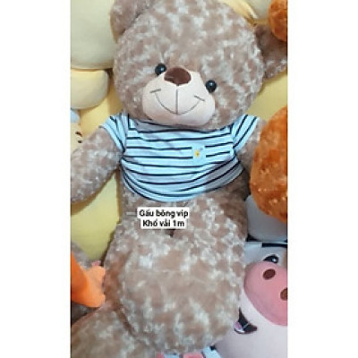 Thú nhồi bông Teddy mặc áo cute - Size từ 1m đến 1m7 - Quà tặng gấu bông teddy khủng lồ lông hoa cao cấp.