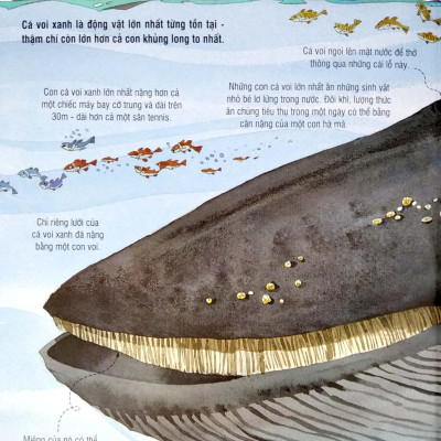 Sách Tương Tác - Big Book - Cuốn Sách Khổng Lồ Về Các Loài Động Vật Khổng Lồ – Đinh Tị