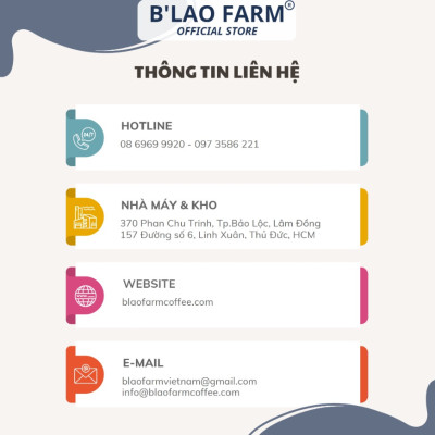 Cà phê nhân xanh ROBUSTA NATURAL B