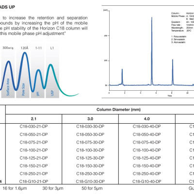 Cột Sắc Ký HPLC C18 (bộ kit 2 cột 150 & 250mm)