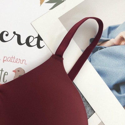 Áo Lót Trơn Không Gọng Đệm Mỏng Siêu Nhẹ( AL12)