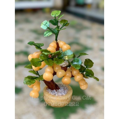 cây hồ lô đá ngọc hoàng long phong thuỷ