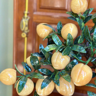 Cây đào phong thuỷ đá ngọc hoàng long 18 quả, quả to|phongthuygiaphat