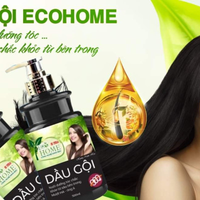 ( Tặng Chai Nước Rửa Tay) Combo Dầu Gội Xả ECOHOME Kim Ngân Hương Nước Hoa 500ml Công Nghệ Sinh Học