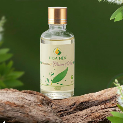 Tinh dầu tràm Huế nguyên chất Hoa Nén 100ml