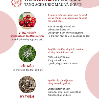 ANTAZ - Hỗ trợ hạ acid uric trong máu, ngăn gout tái phát