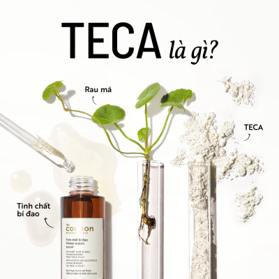 Tinh Chất Bí Đao Mờ Thâm 70mL Cocoon