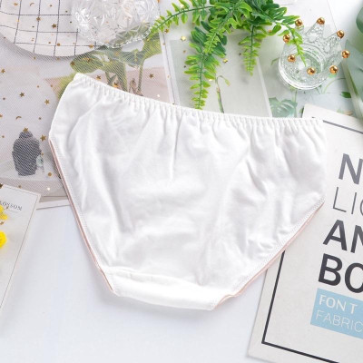 Quần Lót Cotton Retro Eo Giữa Hoạ Tiết Thêu Tinh Tế Hàng Cao Cấp WL82