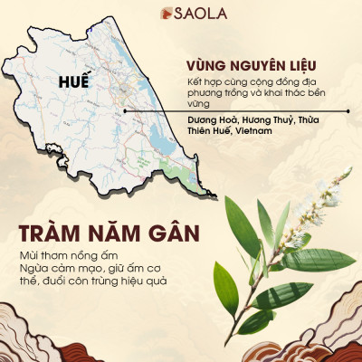 Tinh dầu Tràm năm gân (Tràm Úc) Huế 30ml (Niaouli oil) - Ngừa cảm mạo, giữ ấm cơ thể, đuổi côn trùng, giảm say xe, lọc không khí - Hàng Chính Hãng