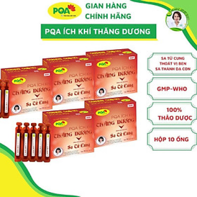 5 Hộp Ích Khí Thăng Dương PQA Hỗ Trợ Giảm Các Triệu Chứng Sa Tử Cung, Điều Bổ Tỳ Vị Hộp 10 Ống
