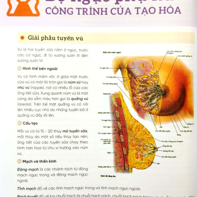 Đẹp Và An Toàn Trong Phẫu Thuật Thẩm Mỹ Vùng Ngực