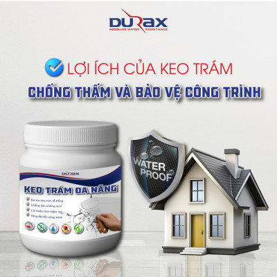 Keo Vá Tường DURA- Trám Trét Vết Nứt Khe Hở Tường - Chống Mốc Ẩm Làm Sạch Tường